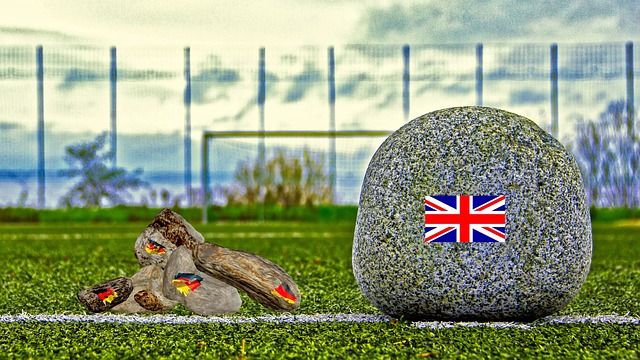 但却遭到纽 但却遭到纽