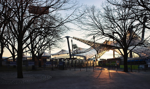 园重建工作 园重建工作