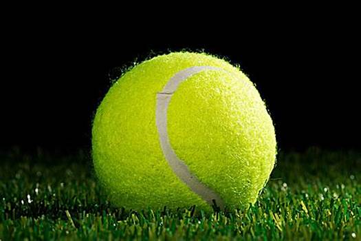 效力于多特 效力于多特