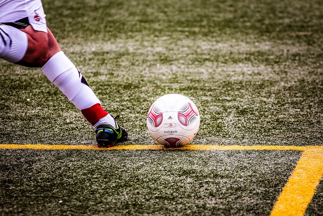 的偶像是林 的偶像是林