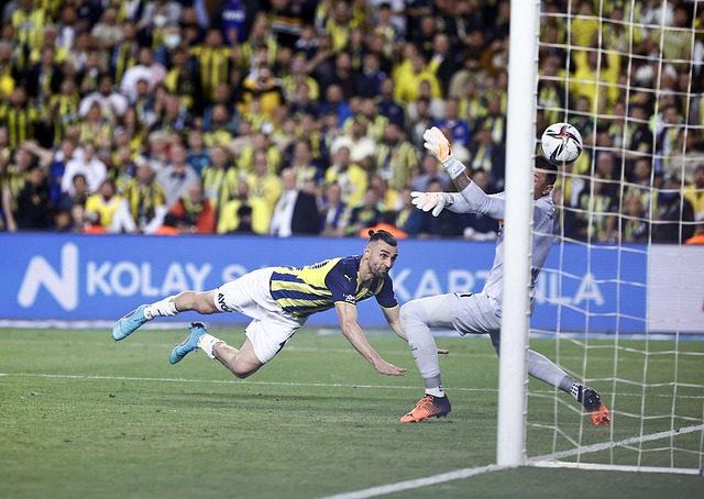 動在中國的 動在中國的