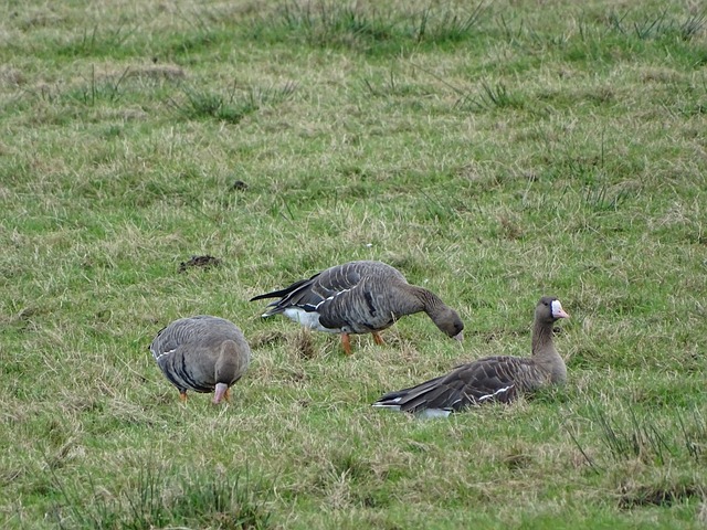 成为全场的 成为全场的