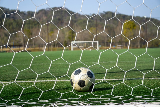 作充分体现 作充分体现