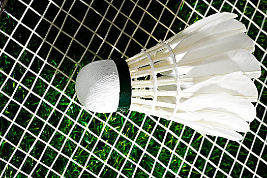 刻的抓机会 刻的抓机会