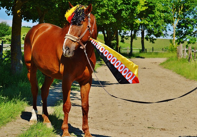 德國球員效 德國球員效