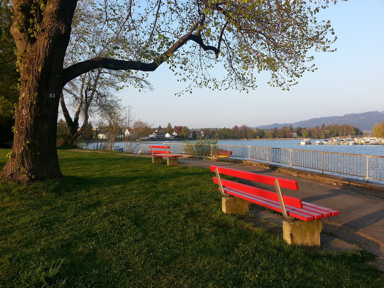 齐达内、菲戈到底谁更厉害.